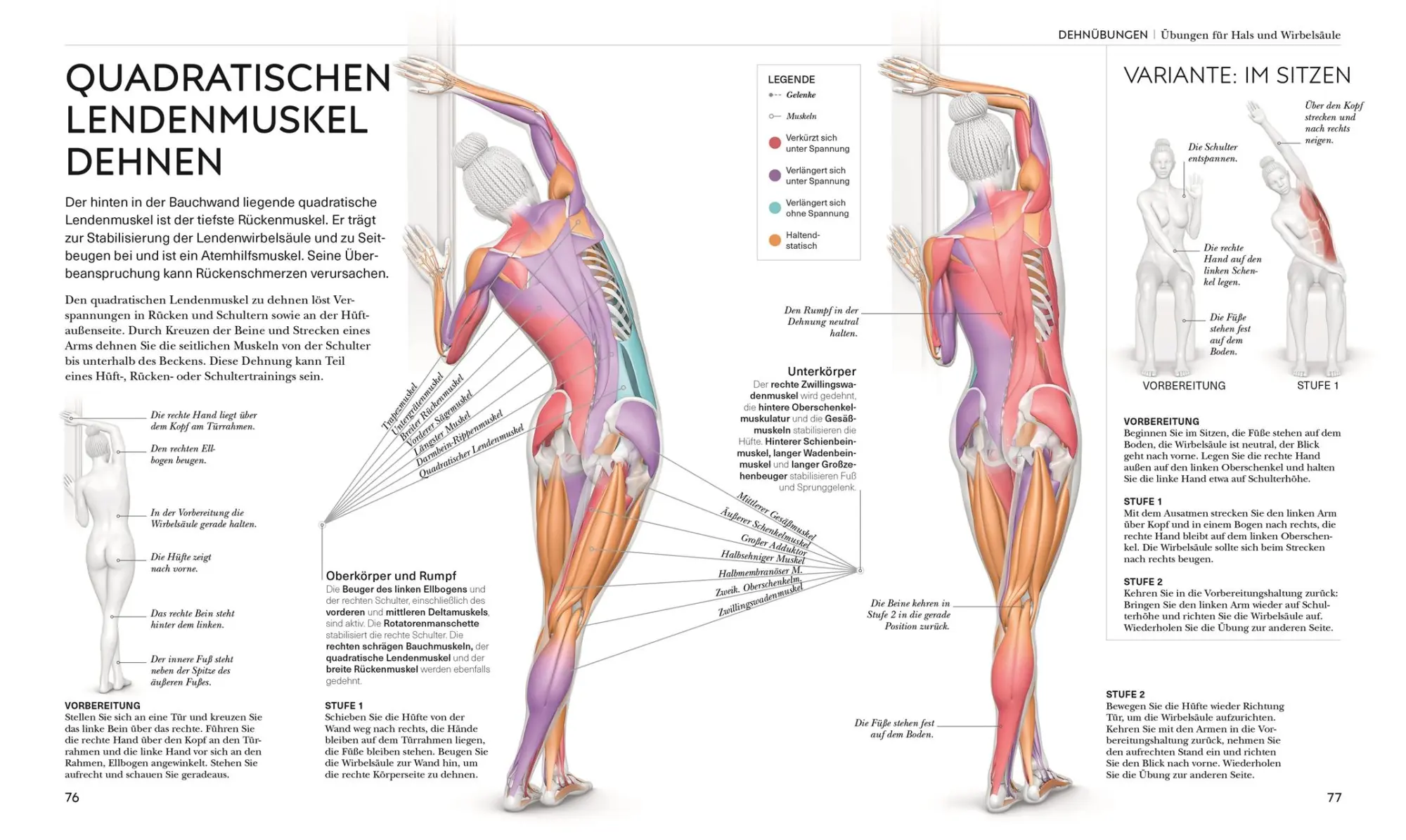 Bild: 9783831048366 | Stretching - Die Anatomie verstehen | Leada Malek | Taschenbuch | 2023