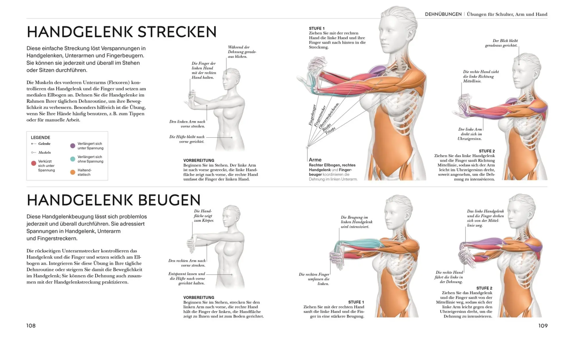 Bild: 9783831048366 | Stretching - Die Anatomie verstehen | Leada Malek | Taschenbuch | 2023