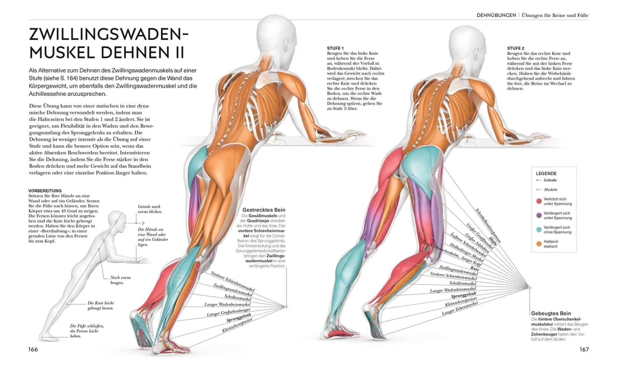 Bild: 9783831048366 | Stretching - Die Anatomie verstehen | Leada Malek | Taschenbuch | 2023