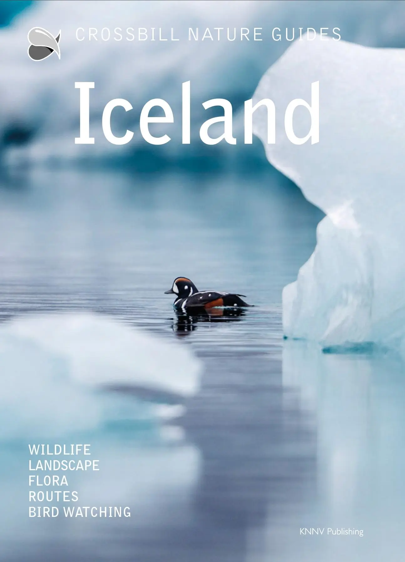 Cover: 9789491648366 | Iceland | Dirk Hilbers | Taschenbuch | Crossbill Guides | Englisch