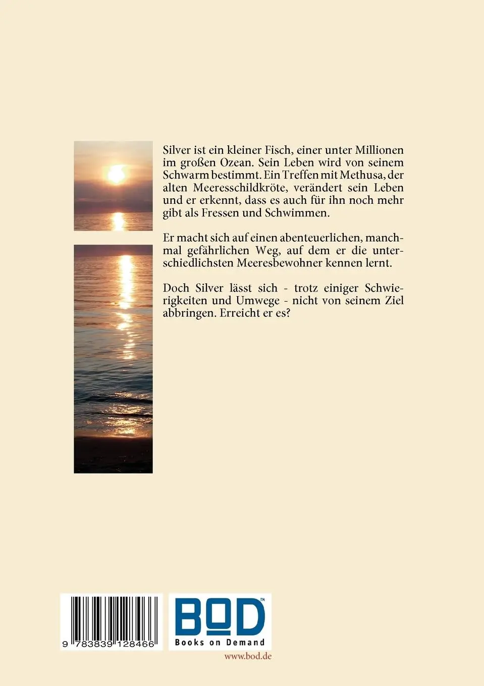 Rückseite: 9783839128466 | Silvers abenteuerliche Reise zu den Menschen | Inge Lutz | Taschenbuch