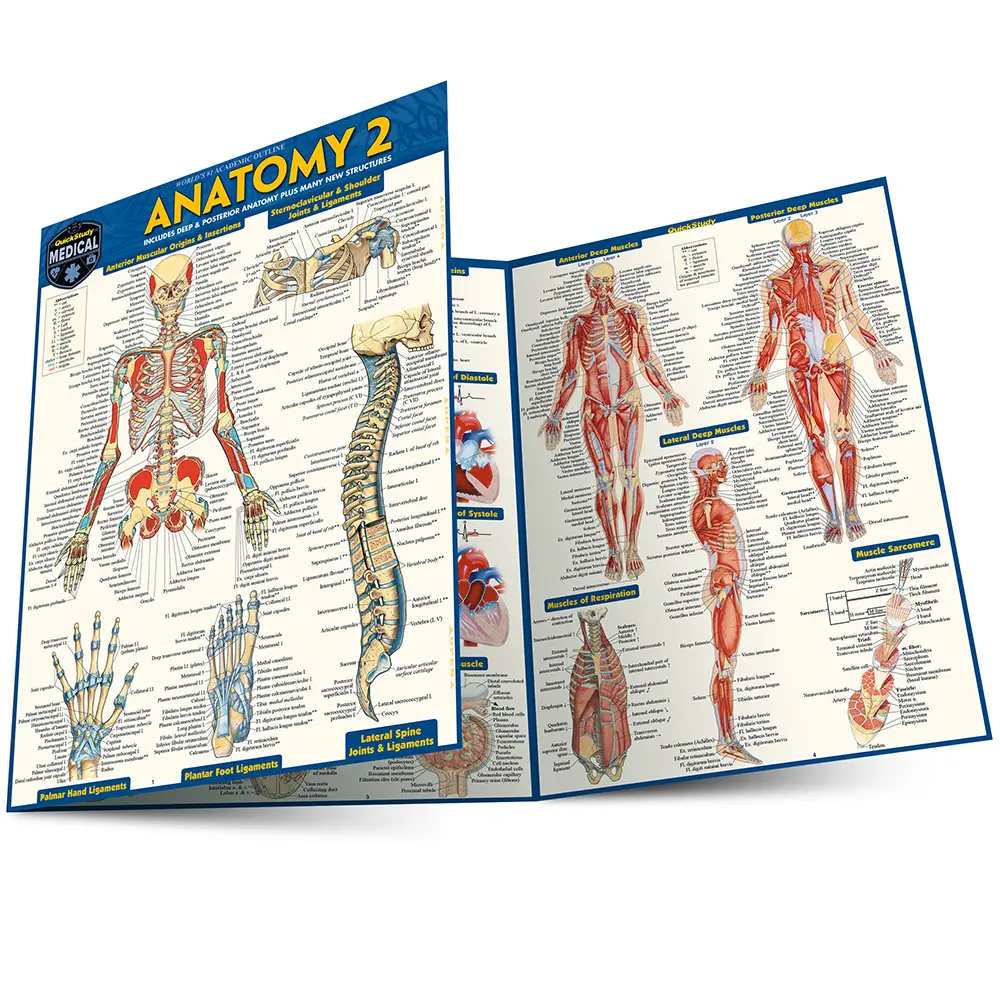 Bild: 9781572228566 | Anatomy 2 - Reference Guide (8.5 x 11) | Vincent Perez | Broschüre