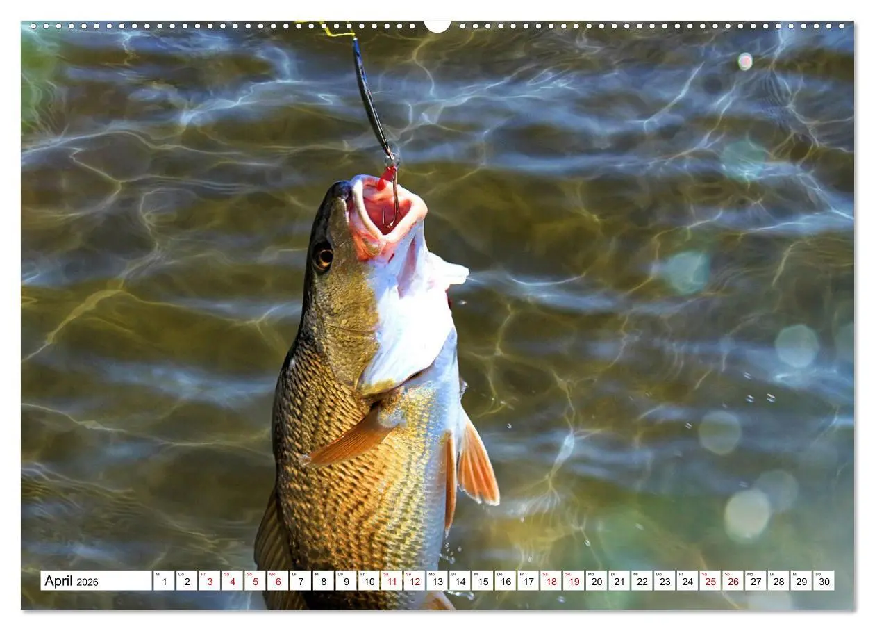 Bild: 9783457598566 | Anglerglück - den Fisch am Haken (hochwertiger Premium Wandkalender...