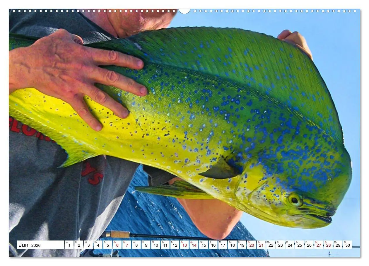 Bild: 9783457598566 | Anglerglück - den Fisch am Haken (hochwertiger Premium Wandkalender...