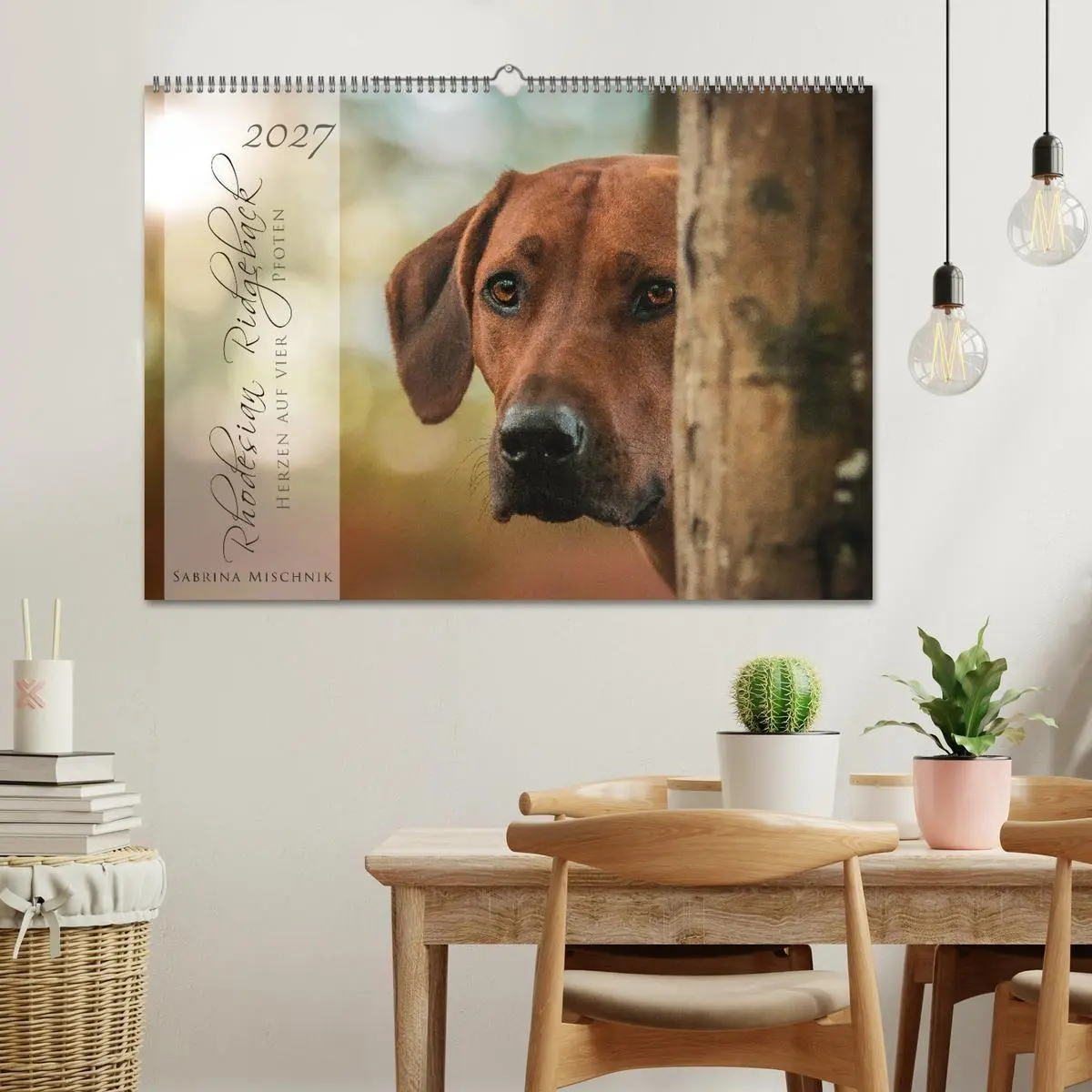 Bild: 9783569778566 | Rhodesian Ridgeback - Herzen auf vier Pfoten (Wandkalender 2027 DIN...