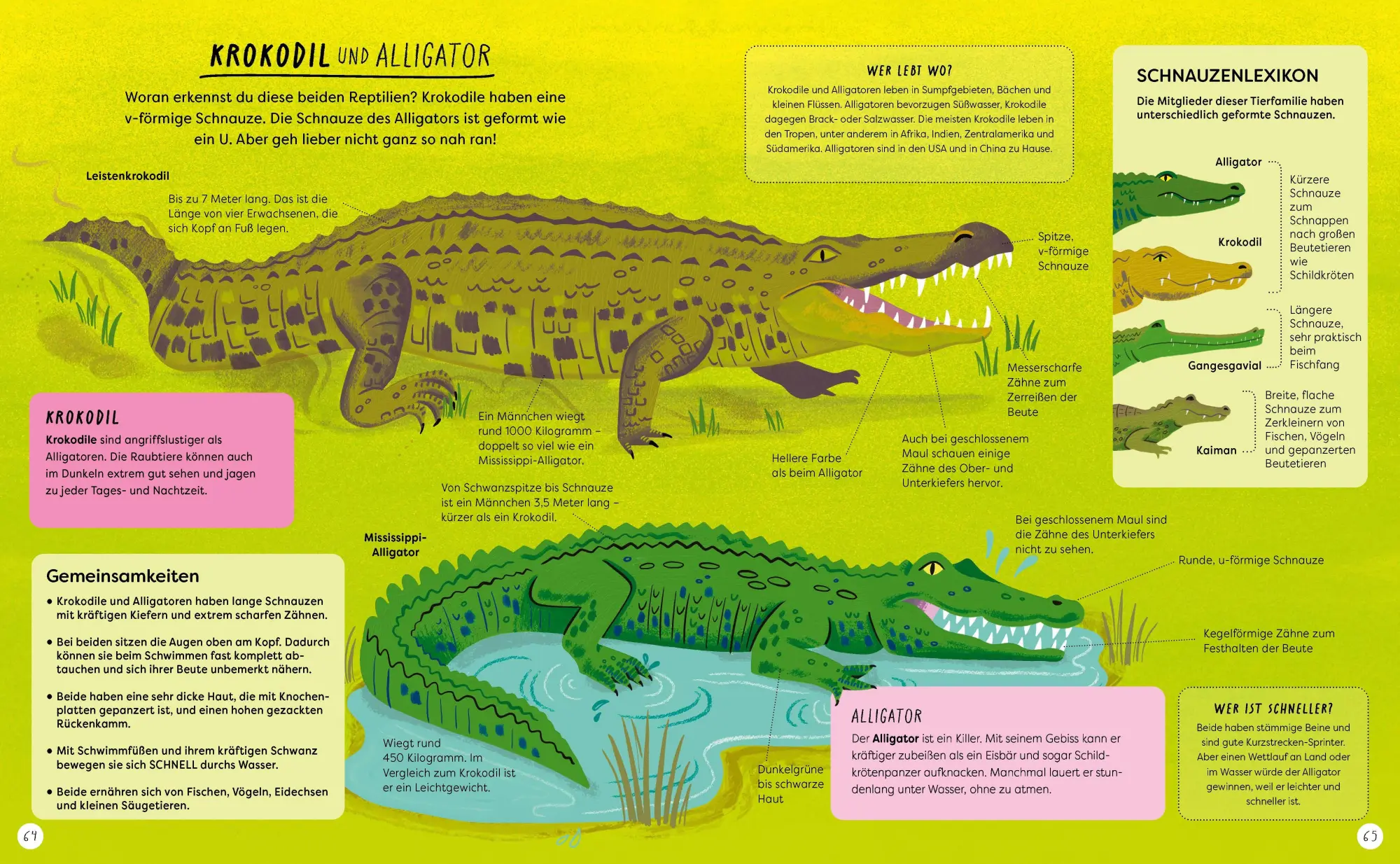 Bild: 9783411708666 | Wo ist denn da der Unterschied? | Jane/Kay, Liz Wilsher | Buch | 2026