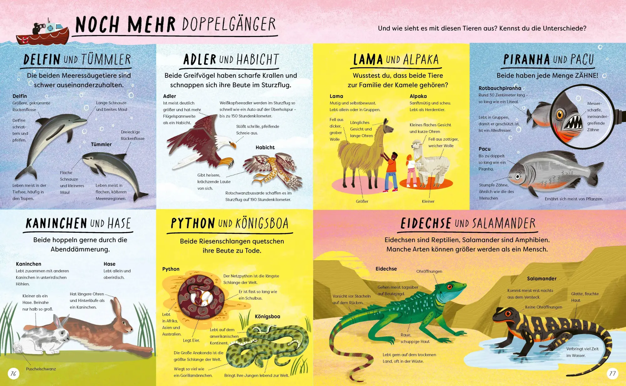 Bild: 9783411708666 | Wo ist denn da der Unterschied? | Jane/Kay, Liz Wilsher | Buch | 2026