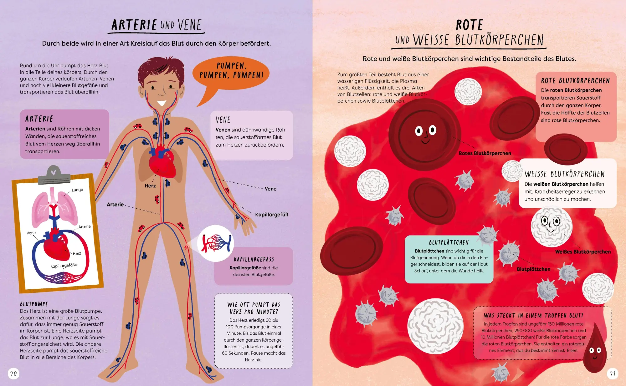 Bild: 9783411708666 | Wo ist denn da der Unterschied? | Jane/Kay, Liz Wilsher | Buch | 2026