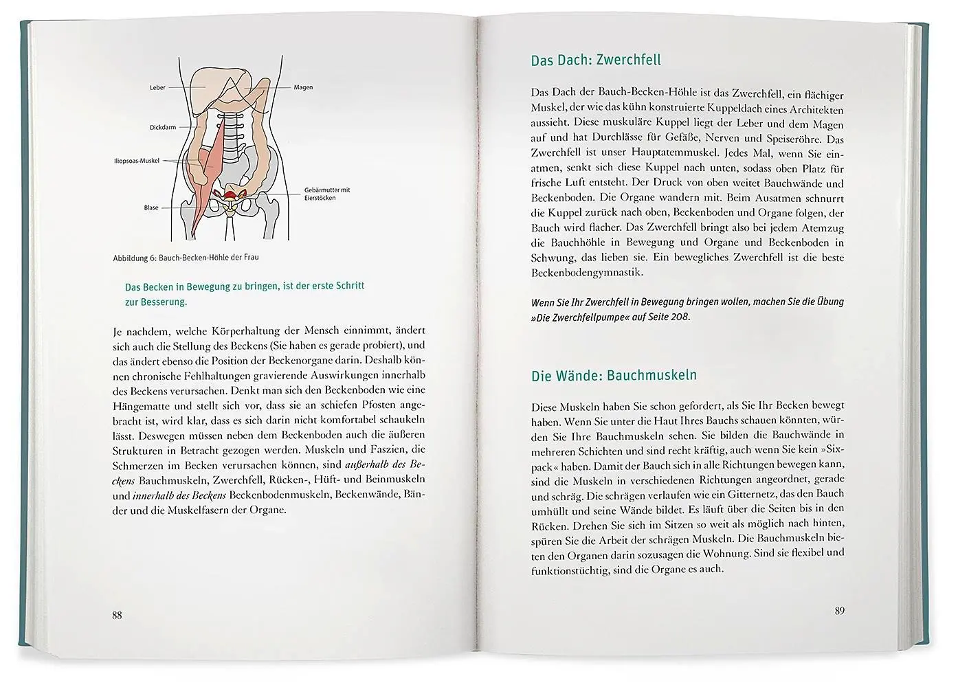 Bild: 9783426658666 | Unter der Gürtellinie | Renate Bruckmann | Buch | 320 S. | Deutsch