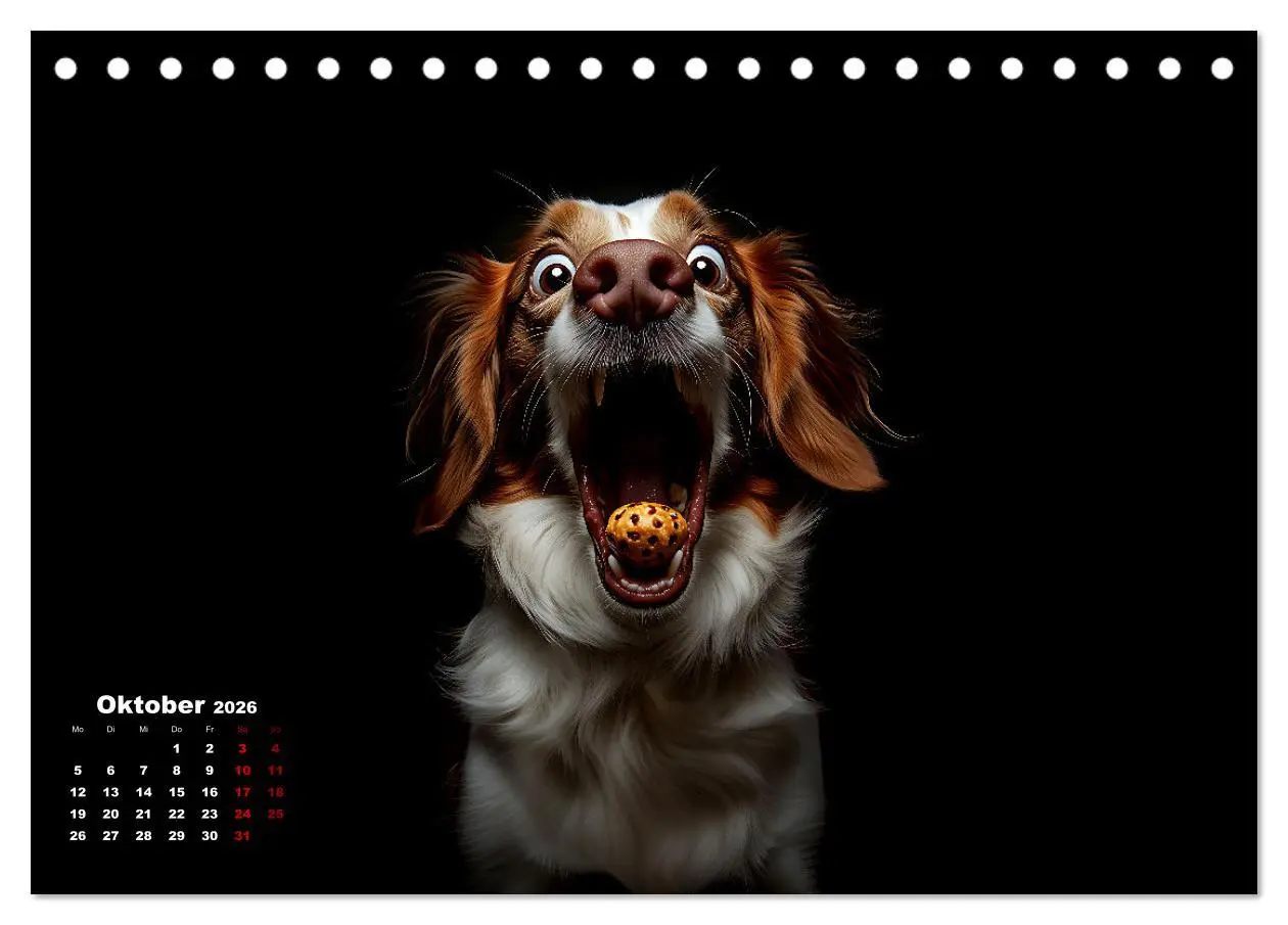 Bild: 9783457348666 | Leckerchen! (Tischkalender 2026 DIN A5 quer), CALVENDO Monatskalender