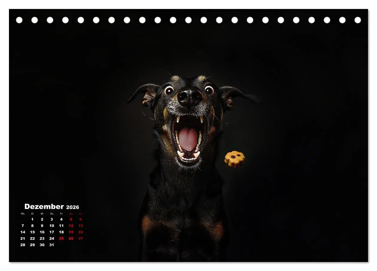 Bild: 9783457348666 | Leckerchen! (Tischkalender 2026 DIN A5 quer), CALVENDO Monatskalender