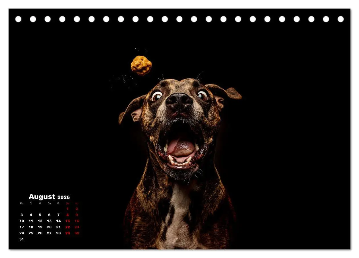 Bild: 9783457348666 | Leckerchen! (Tischkalender 2026 DIN A5 quer), CALVENDO Monatskalender