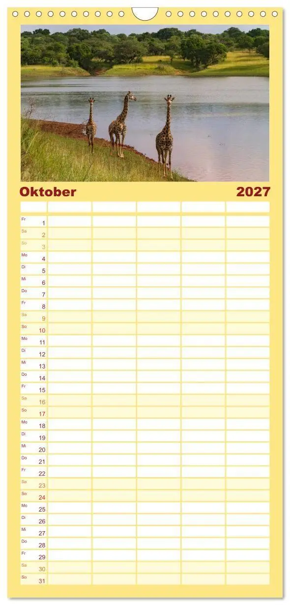 Bild: 9783594348666 | Familienplaner 2027 - Afrikas Tierwelt: Giraffen mit 5 Spalten...