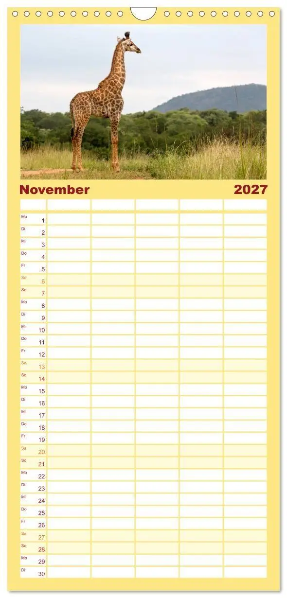 Bild: 9783594348666 | Familienplaner 2027 - Afrikas Tierwelt: Giraffen mit 5 Spalten...
