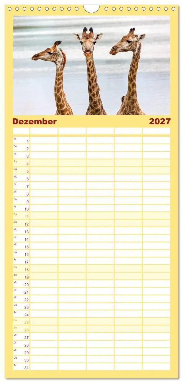 Bild: 9783594348666 | Familienplaner 2027 - Afrikas Tierwelt: Giraffen mit 5 Spalten...