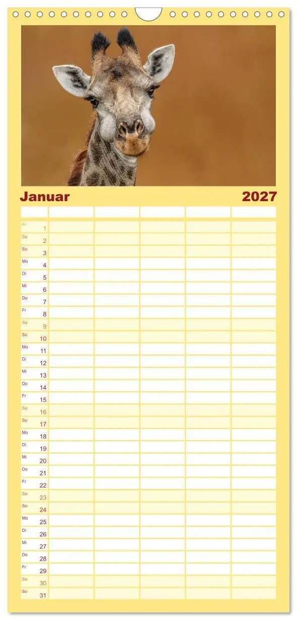 Bild: 9783594348666 | Familienplaner 2027 - Afrikas Tierwelt: Giraffen mit 5 Spalten...