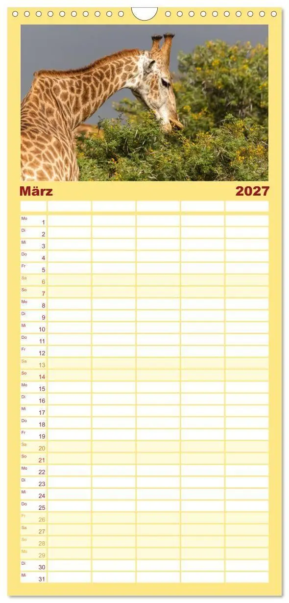 Bild: 9783594348666 | Familienplaner 2027 - Afrikas Tierwelt: Giraffen mit 5 Spalten...