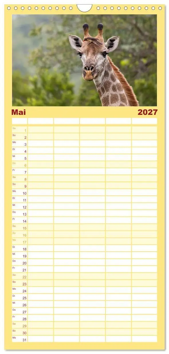 Bild: 9783594348666 | Familienplaner 2027 - Afrikas Tierwelt: Giraffen mit 5 Spalten...