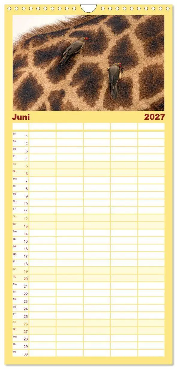 Bild: 9783594348666 | Familienplaner 2027 - Afrikas Tierwelt: Giraffen mit 5 Spalten...