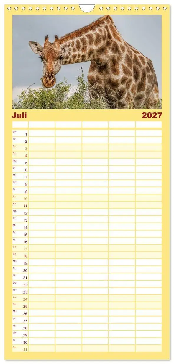 Bild: 9783594348666 | Familienplaner 2027 - Afrikas Tierwelt: Giraffen mit 5 Spalten...