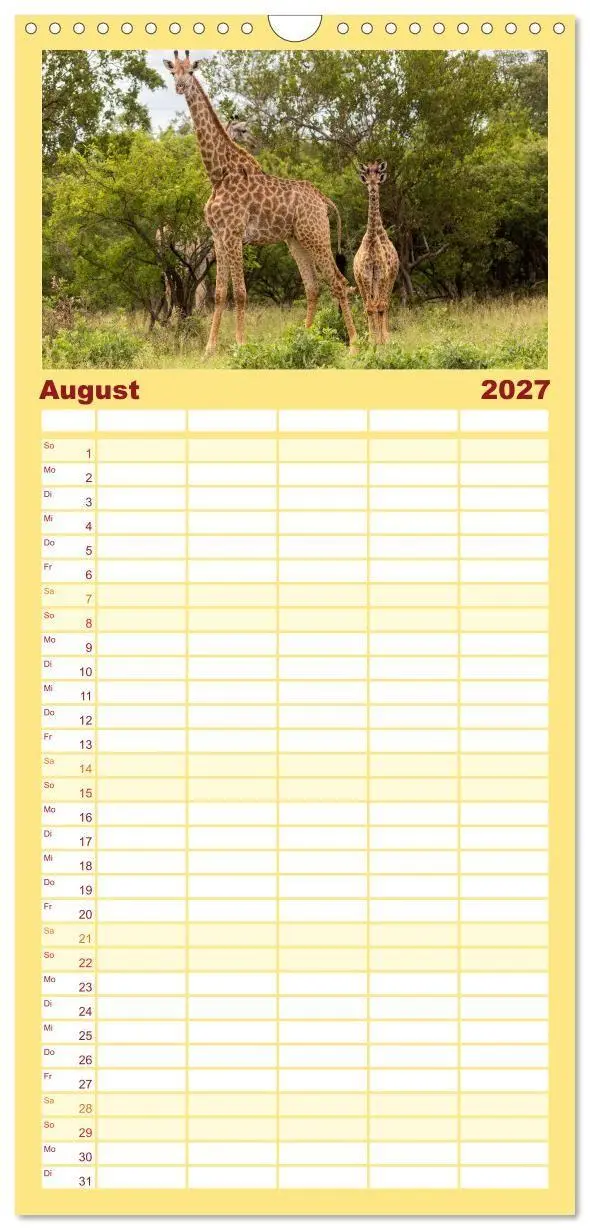 Bild: 9783594348666 | Familienplaner 2027 - Afrikas Tierwelt: Giraffen mit 5 Spalten...