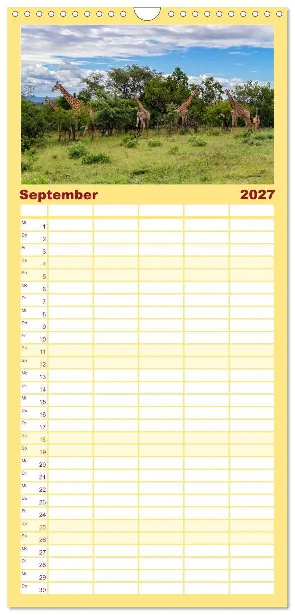 Bild: 9783594348666 | Familienplaner 2027 - Afrikas Tierwelt: Giraffen mit 5 Spalten...