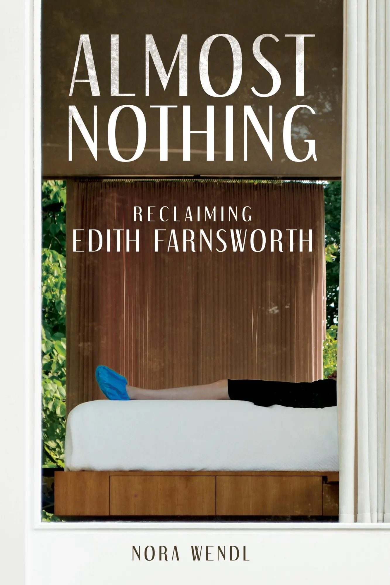 Cover: 9780252088766 | Almost Nothing | Reclaiming Edith Farnsworth | Nora Wendl | Buch