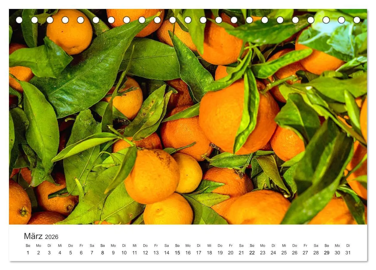 Bild: 9783457718766 | Das farbenfrohe Marokko (Tischkalender 2026 DIN A5 quer), CALVENDO...