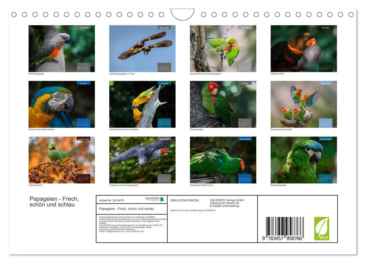Bild: 9783457958766 | Papageien - Frech, schön und schlau (Wandkalender 2026 DIN A4...