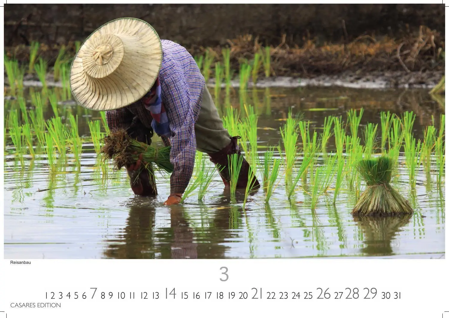 Bild: 9781835248966 | Thailand Kalender 2027 - Wandkalender Fotokalender 24x35cm -...