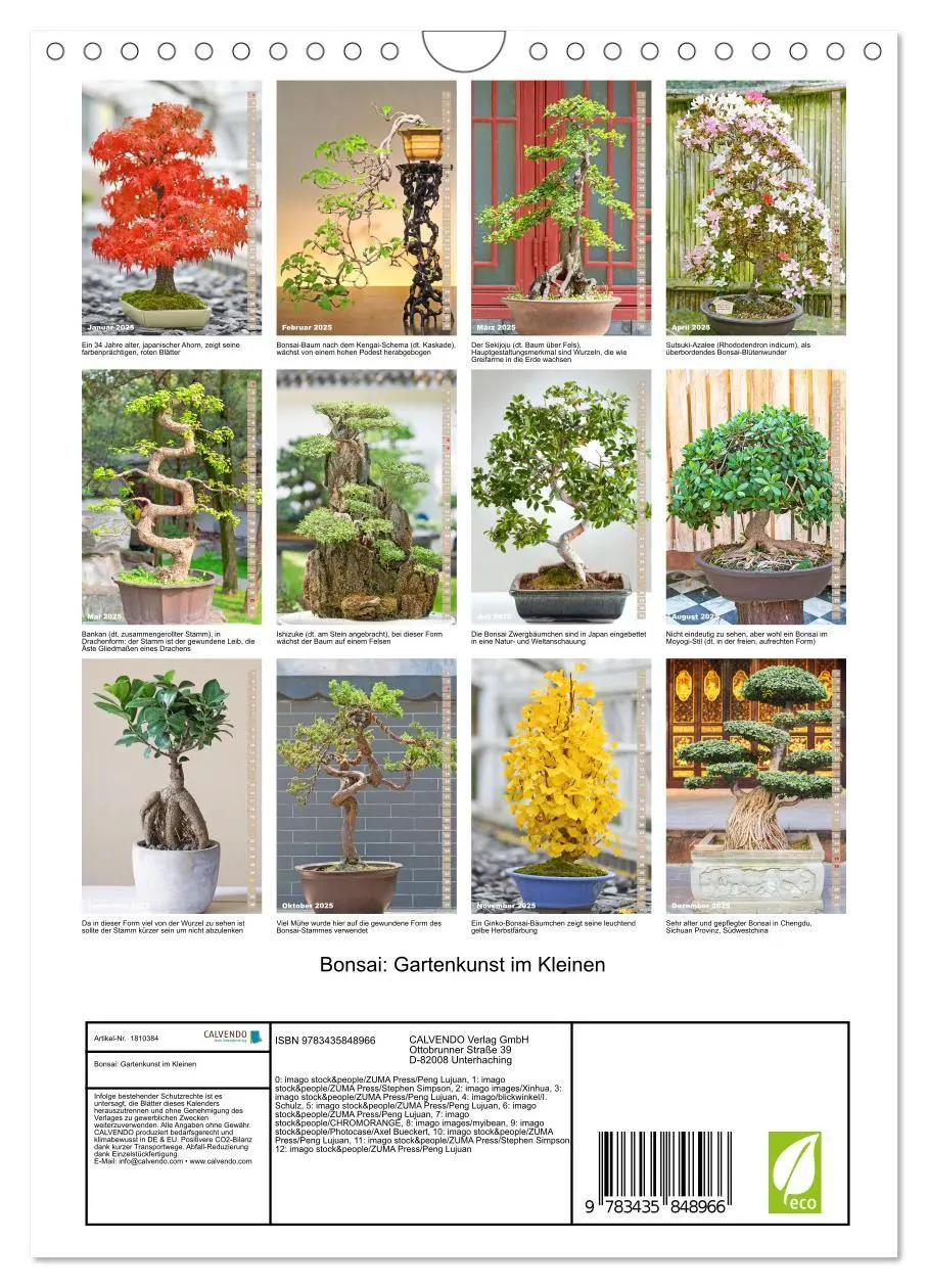 Bild: 9783435848966 | Bonsai: Gartenkunst im Kleinen (Wandkalender 2025 DIN A4 hoch),...