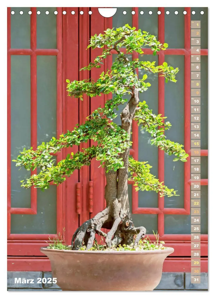 Bild: 9783435848966 | Bonsai: Gartenkunst im Kleinen (Wandkalender 2025 DIN A4 hoch),...