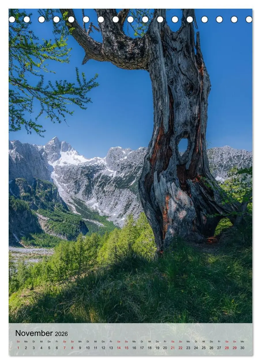 Bild: 9783516648966 | Slowenien - Frühlingsimpressionen (Tischkalender 2026 DIN A5 hoch),...