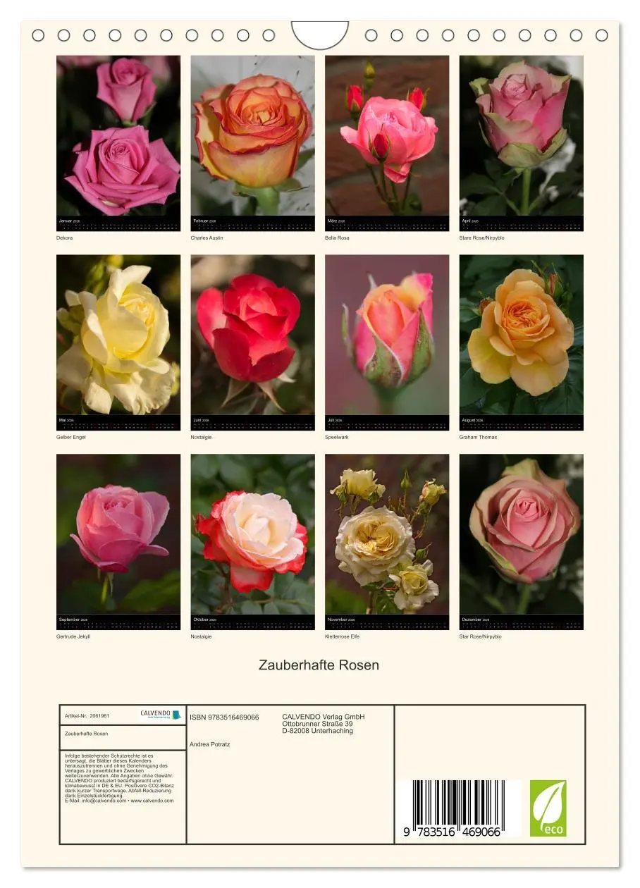 Bild: 9783516469066 | Zauberhafte Rosen (Wandkalender 2026 DIN A4 hoch), CALVENDO...