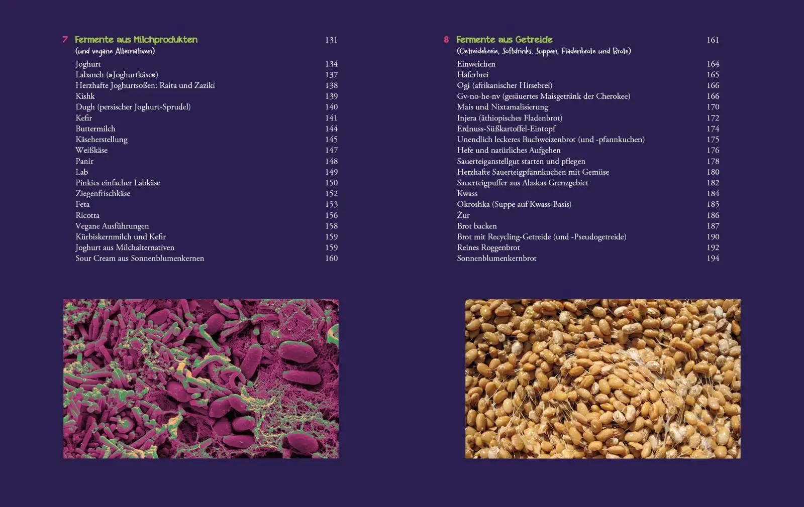 Bild: 9783742329066 | Die Fermentier-Bibel | Sandor Ellix Katz | Taschenbuch | 320 S. | 2025