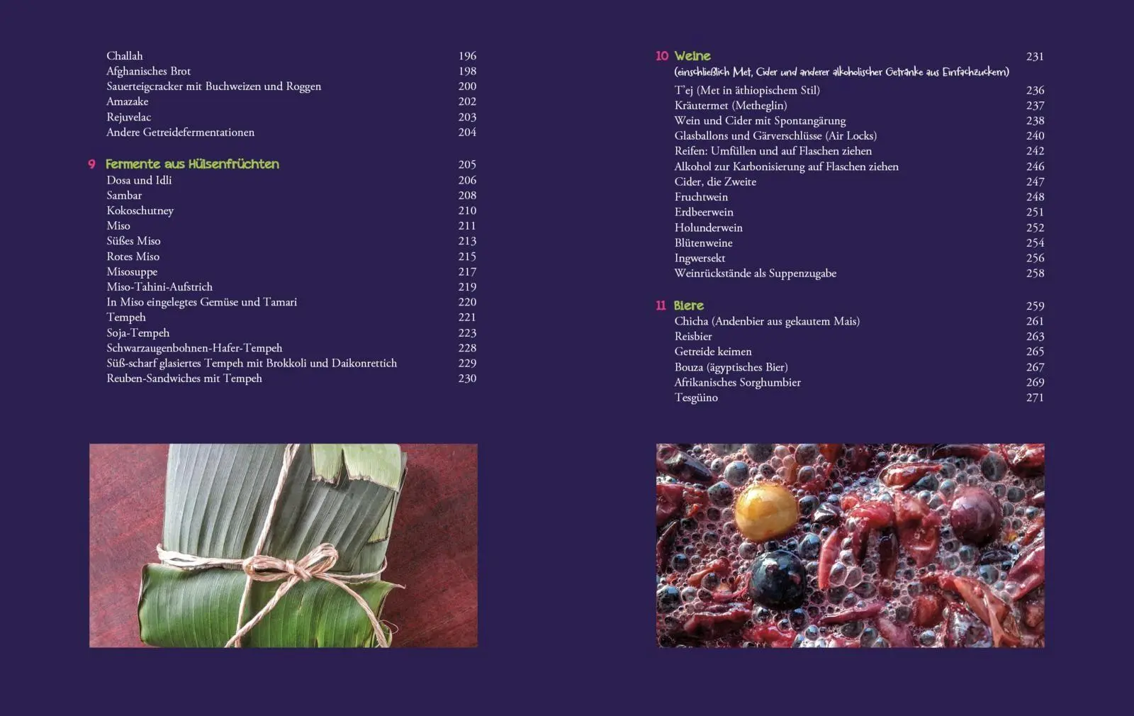 Bild: 9783742329066 | Die Fermentier-Bibel | Sandor Ellix Katz | Taschenbuch | 320 S. | 2025