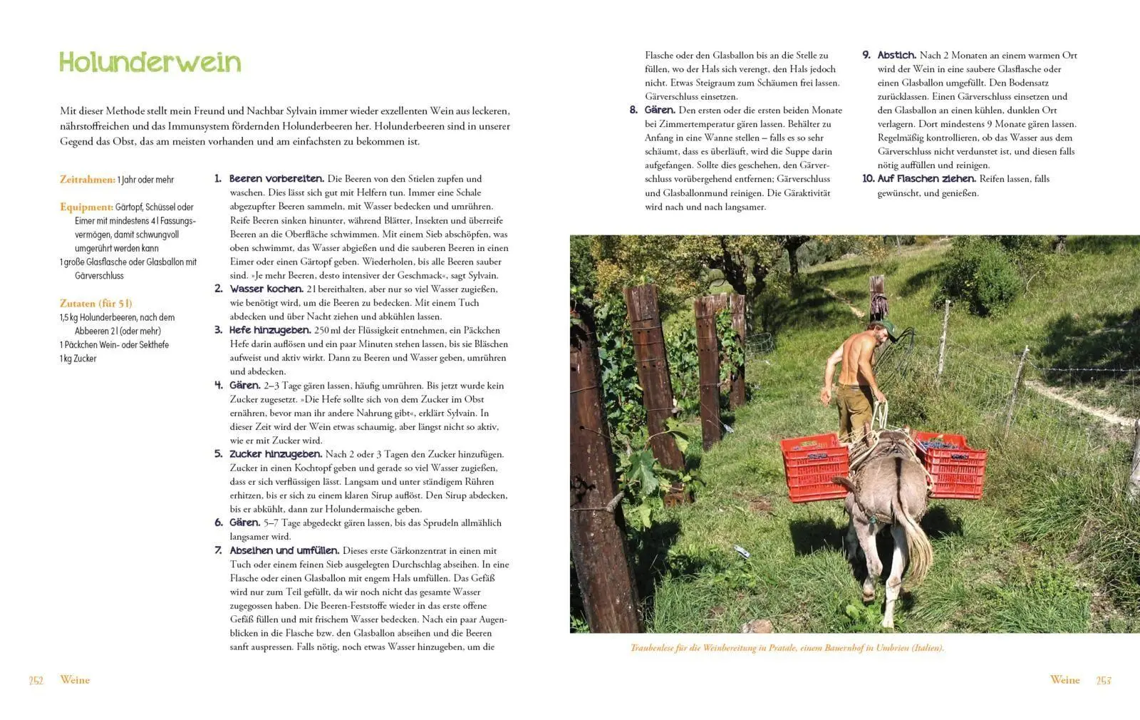 Bild: 9783742329066 | Die Fermentier-Bibel | Sandor Ellix Katz | Taschenbuch | 320 S. | 2025