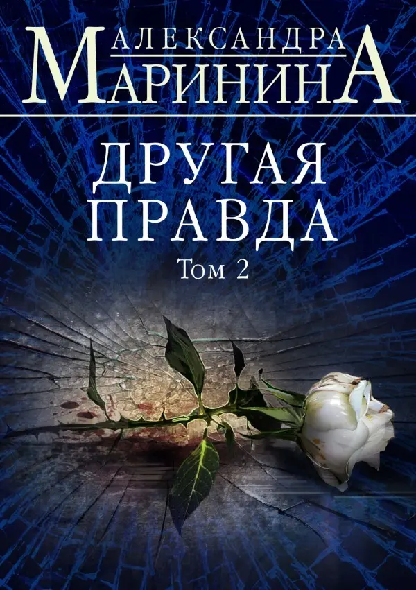 Cover: 9783753149066 | Drugaya pravda. Tom 2 / Другая правда. Том 2 | Taschenbuch | Russisch