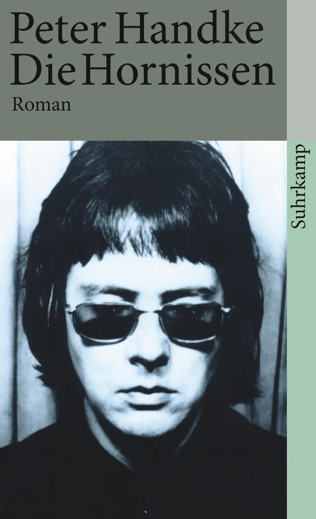Cover: 9783518369166 | Die Hornissen | Peter Handke | Taschenbuch | 277 S. | Deutsch | 1978