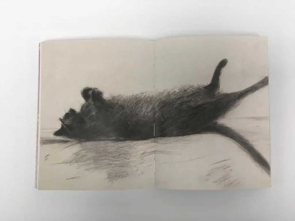 Bild: 9783832199166 | Katzen in der Kunst | Angus Hyland (u. a.) | Taschenbuch | 160 S.