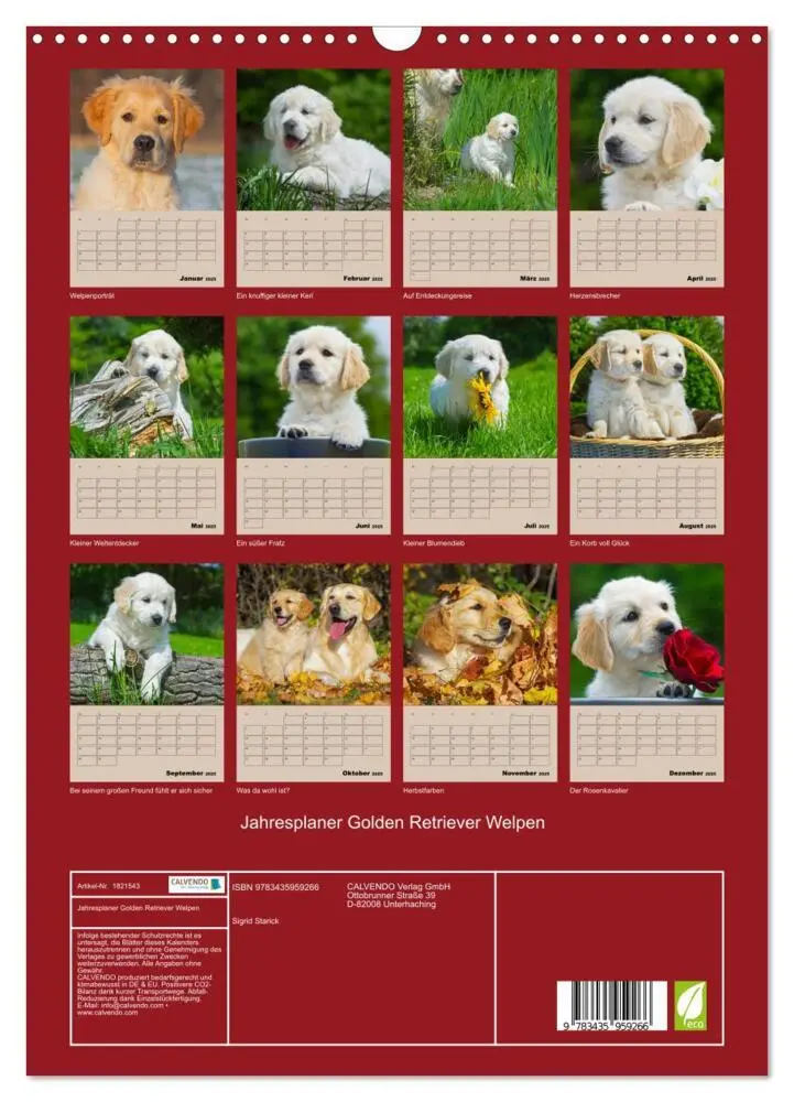 Bild: 9783435959266 | Jahresplaner Golden Retriever Welpen (Wandkalender 2025 DIN A3...