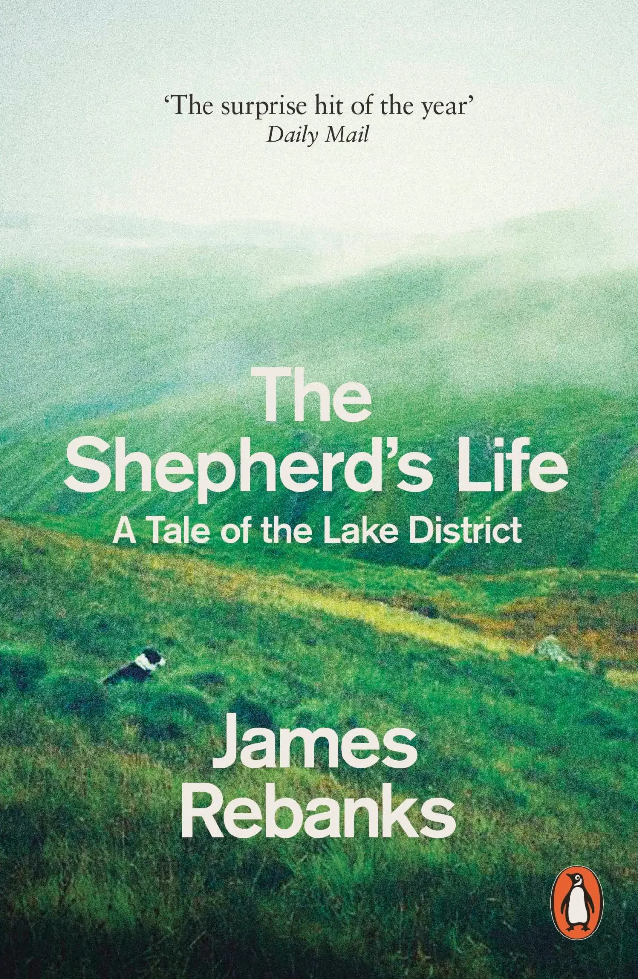 Cover: 9780141979366 | The Shepherd's Life | A Tale of the Lake District | James Rebanks