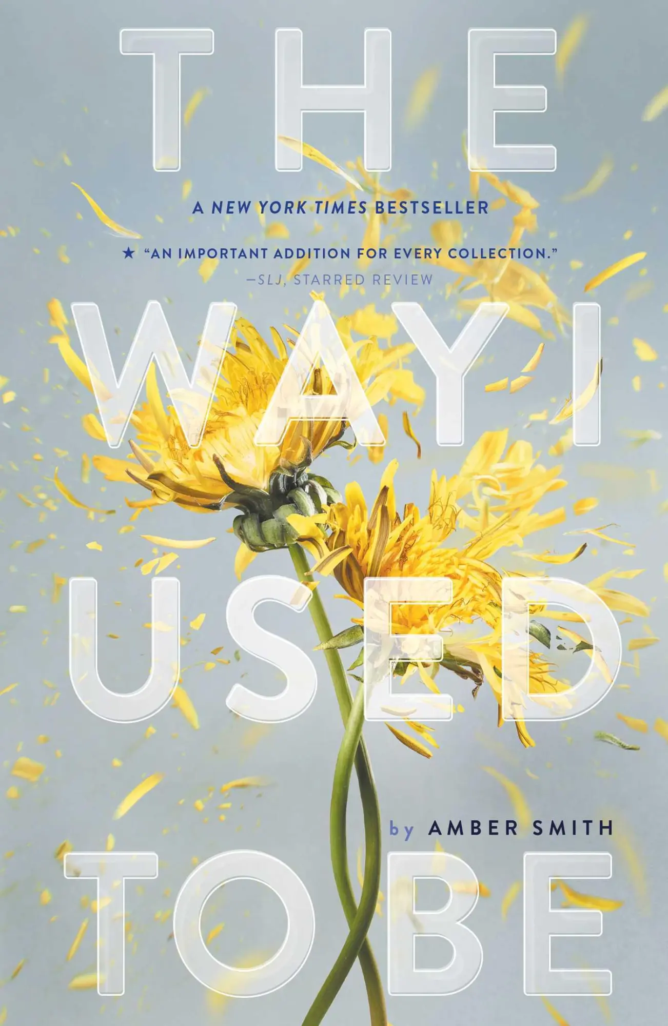Bild: 9781481449366 | The Way I Used to Be | Amber Smith | Taschenbuch | Englisch | 2017