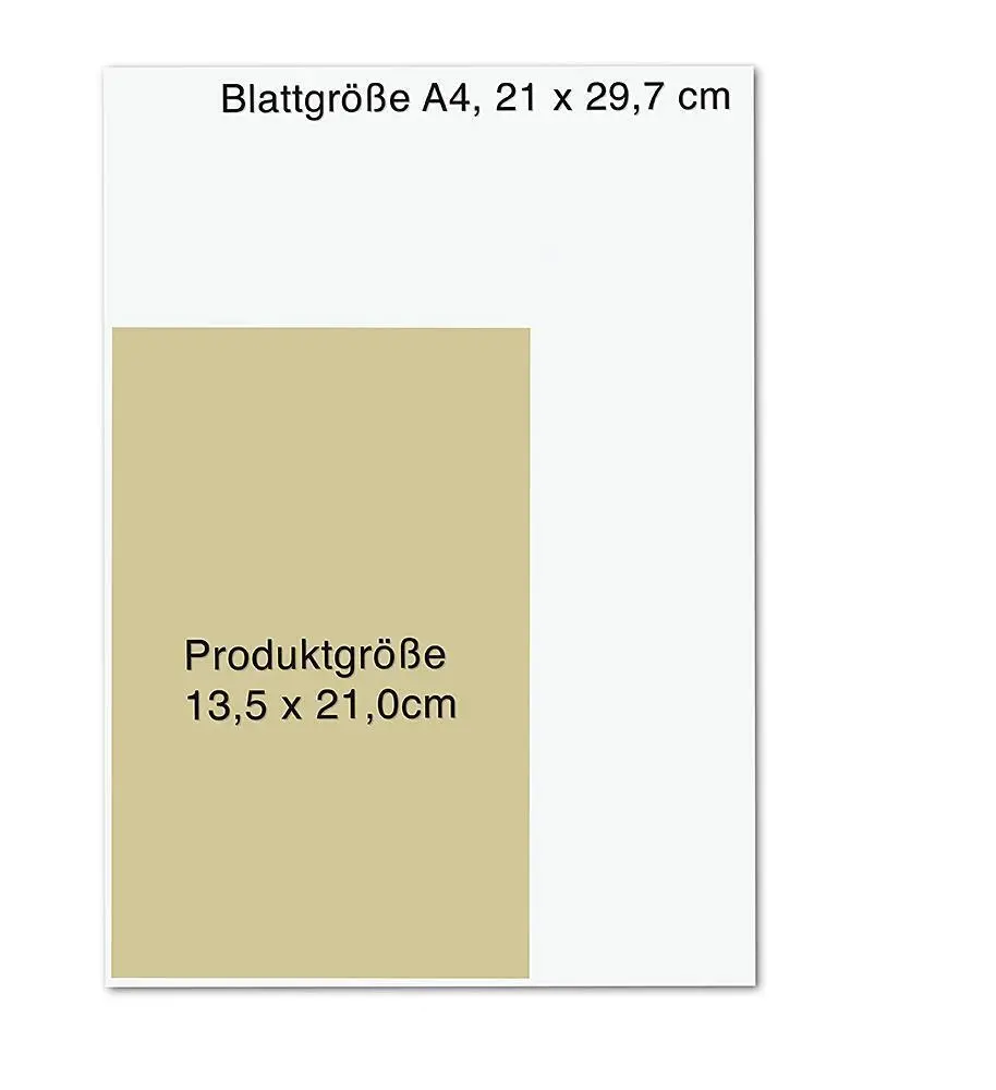 Bild: 9783426659366 | Die Duellantin. Kein Herz ist unbesiegbar | Regina Meißner | Buch