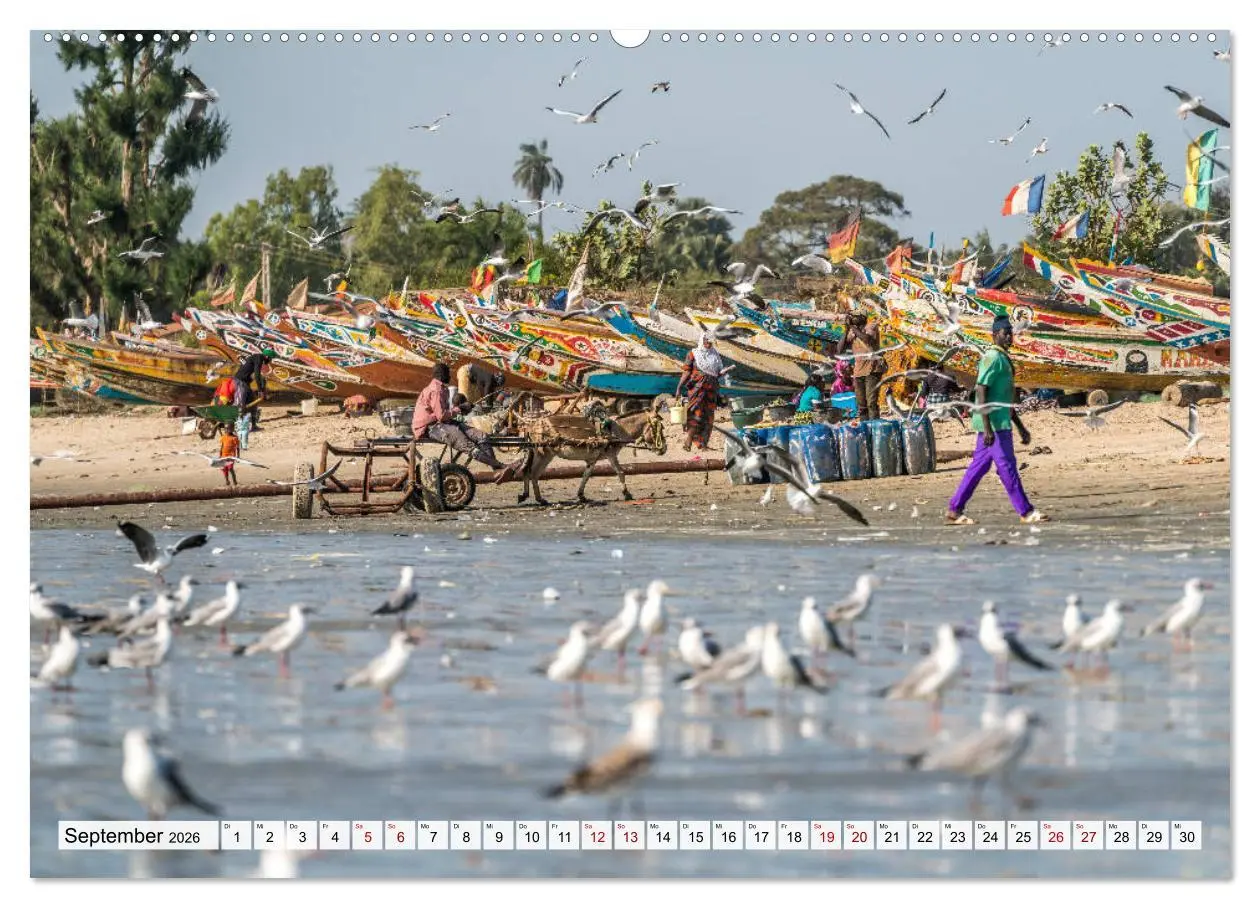Bild: 9783457729366 | Westafrika - The Gambia (Wandkalender 2026 DIN A2 quer), CALVENDO...