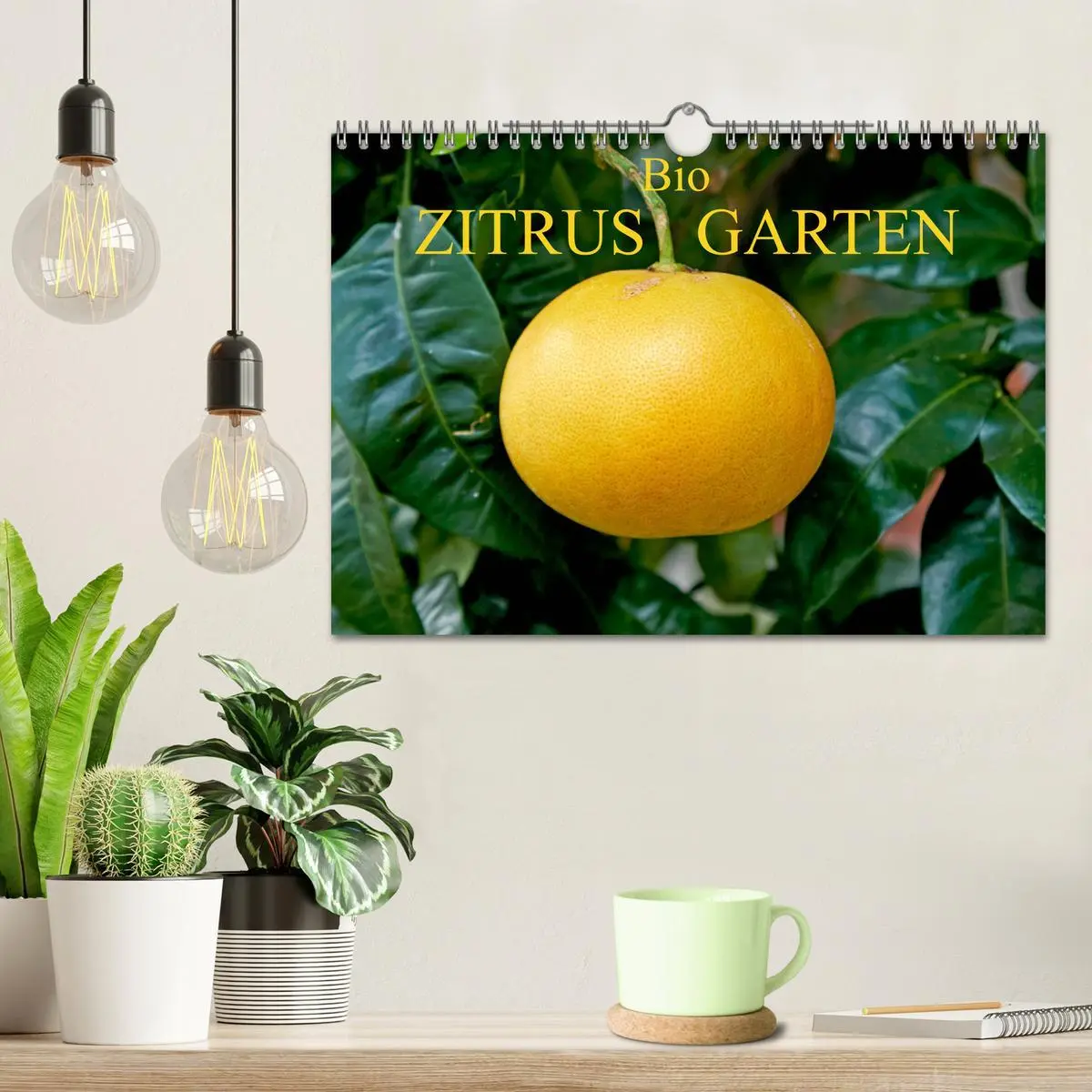 Bild: 9783457719466 | Bio Zitrus Garten (Wandkalender 2026 DIN A4 quer), CALVENDO...