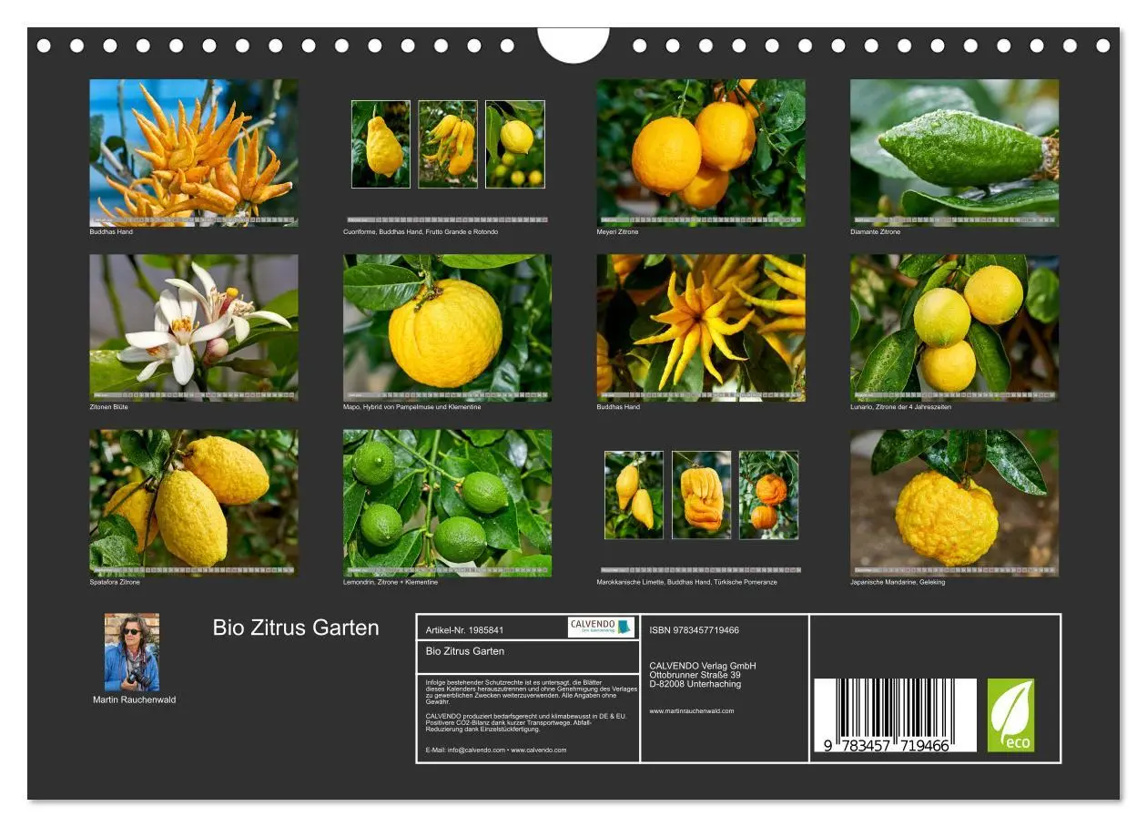 Bild: 9783457719466 | Bio Zitrus Garten (Wandkalender 2026 DIN A4 quer), CALVENDO...