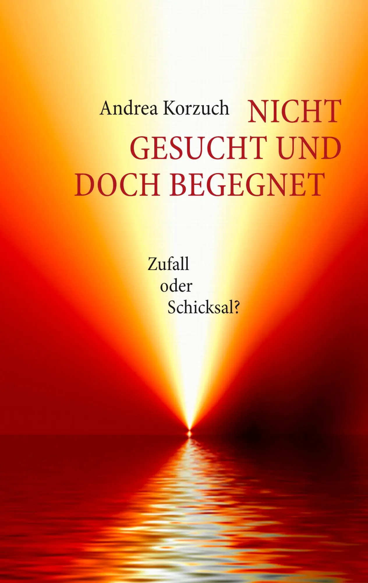 Cover: 9783833469466 | Nicht gesucht und doch begegnet | Zufall oder Schicksal? | Korzuch