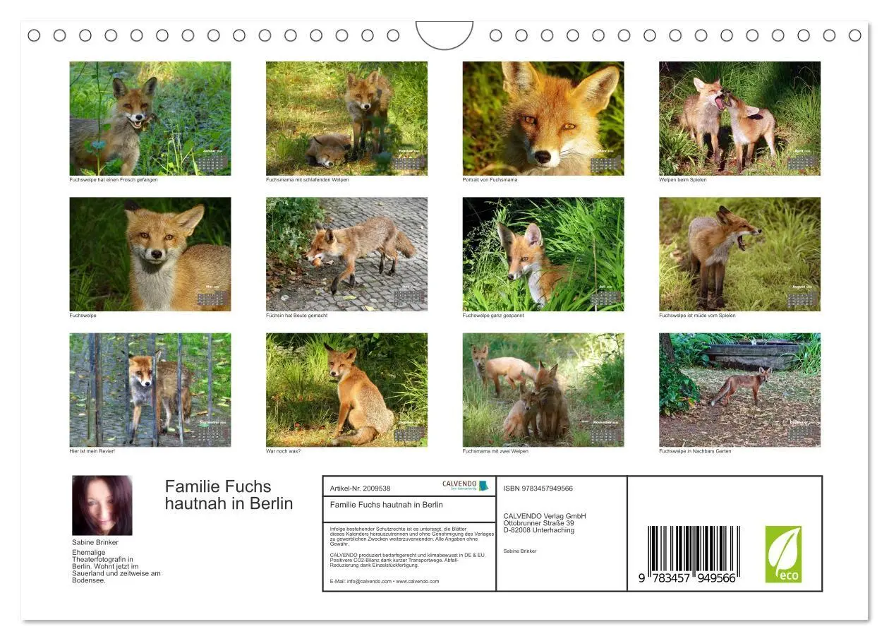 Bild: 9783457949566 | Familie Fuchs hautnah in Berlin (Wandkalender 2026 DIN A4 quer),...