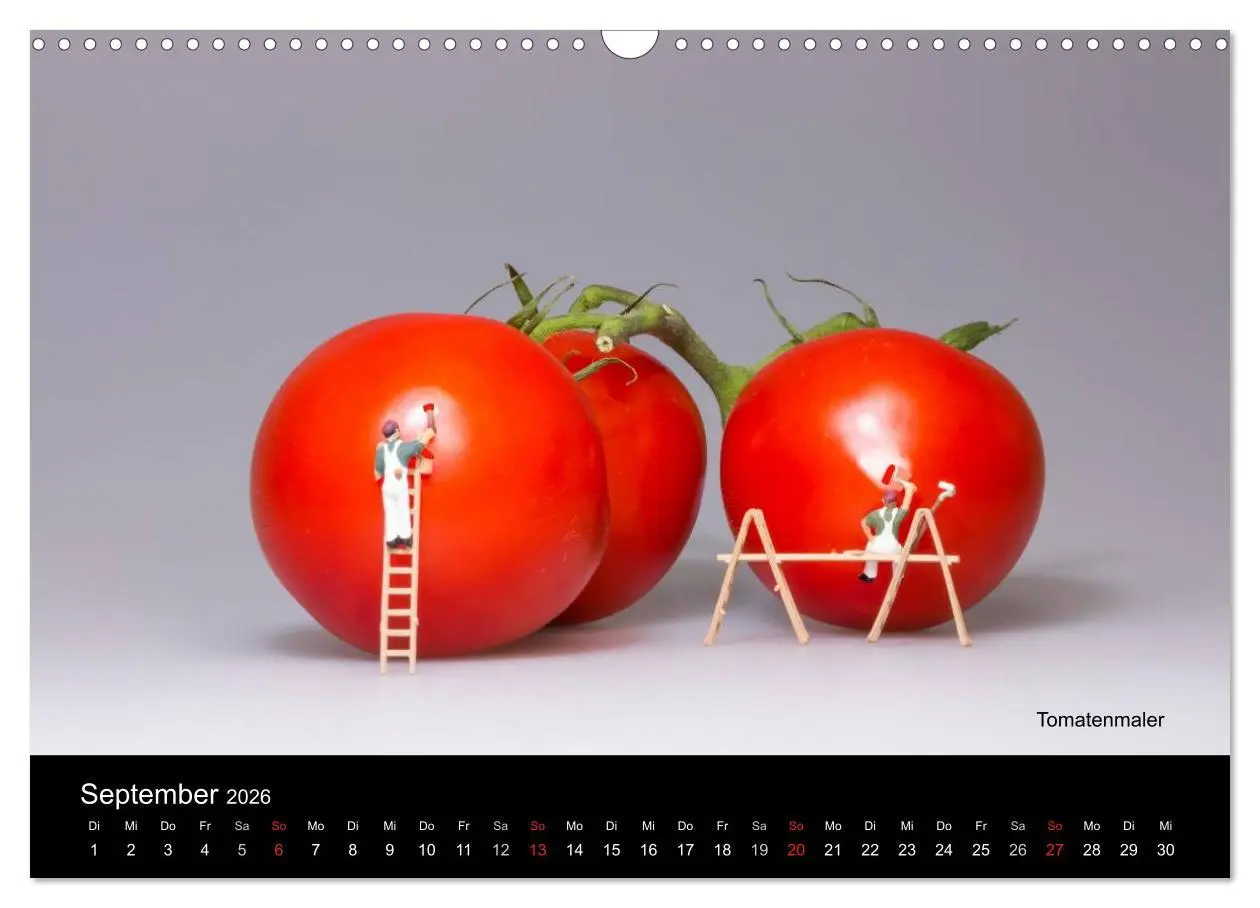 Bild: 9783516039566 | Tomatenmaler ... und andere Mini-Welten (Wandkalender 2026 DIN A3...